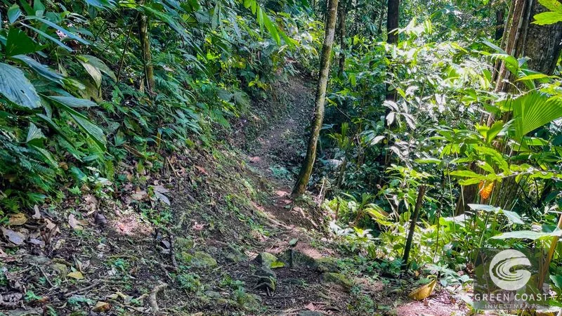 Nature Retreat Estate – Southern Pacific Zone, Costa Rica — view 68, Tres Rios, Osa, Costa Rica