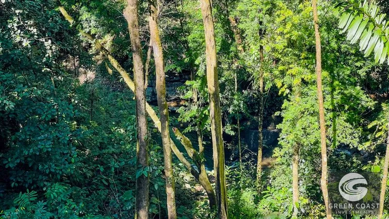 Nature Retreat Estate – Southern Pacific Zone, Costa Rica — view 69, Tres Rios, Osa, Costa Rica