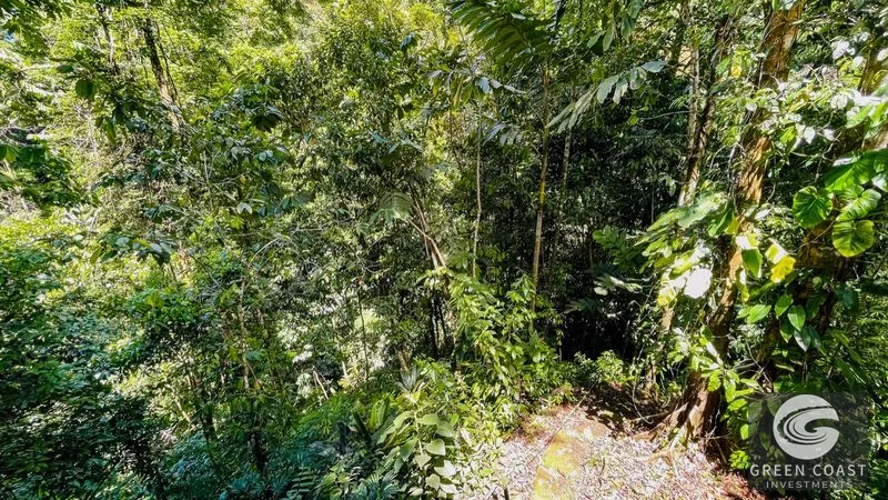 Nature Retreat Estate – Southern Pacific Zone, Costa Rica — view 73, Tres Rios, Osa, Costa Rica
