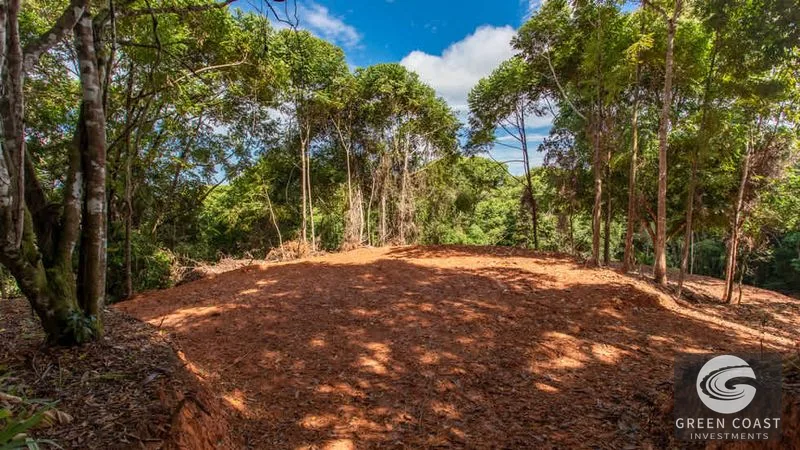Dominical Ocean View Lots: Build Your Dream Home in a Gated Community with Sunset Views — view 26, Dominical, Dominical, Costa Rica