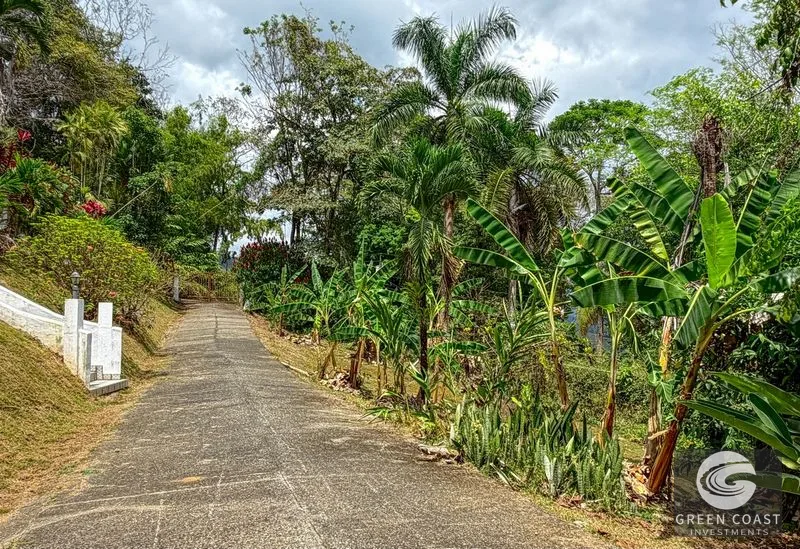Ocean View Estate: 3.64 Acres, 3-Bed Home, Expansion Potential, 10 Mins to Dominical Beach! — view 15, Dominical, Dominical, Costa Rica