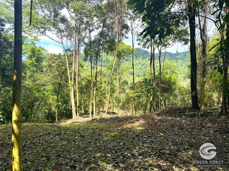 Portasol Mountain View Lot: Ready-to-Build Rainforest Gem Near Dominical Beaches — view 1, Dominical, Dominical, Costa Rica