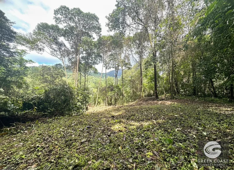 Portasol Mountain View Lot: Ready-to-Build Rainforest Gem Near Dominical Beaches — view 4, Dominical, Dominical, Costa Rica