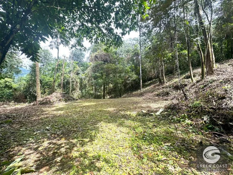 Portasol Mountain View Lot: Ready-to-Build Rainforest Gem Near Dominical Beaches — view 5, Dominical, Dominical, Costa Rica