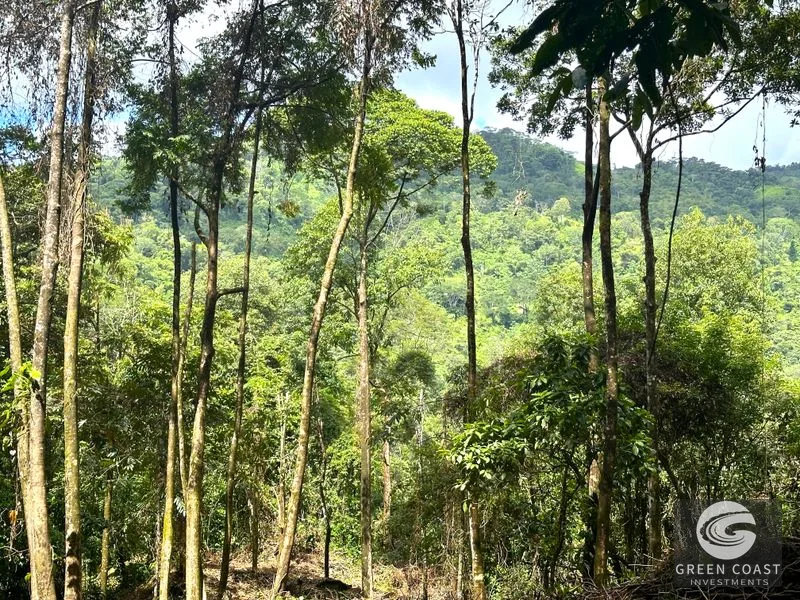 Portasol Mountain View Lot: Ready-to-Build Rainforest Gem Near Dominical Beaches — view 7, Dominical, Dominical, Costa Rica