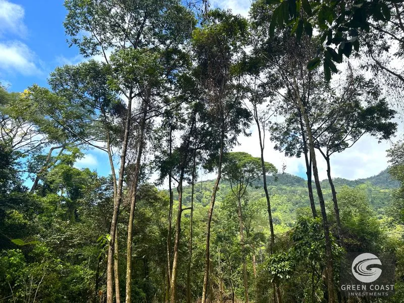 Portasol Mountain View Lot: Ready-to-Build Rainforest Gem Near Dominical Beaches — view 10, Dominical, Dominical, Costa Rica