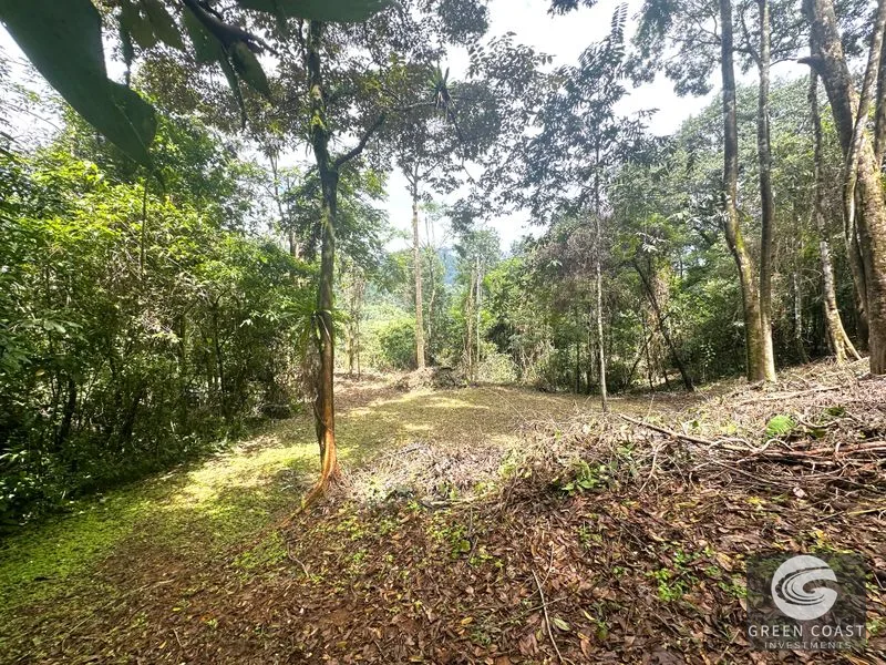 Portasol Mountain View Lot: Ready-to-Build Rainforest Gem Near Dominical Beaches — view 11, Dominical, Dominical, Costa Rica