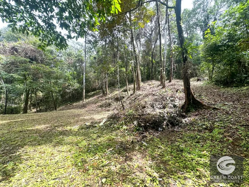 Portasol Mountain View Lot: Ready-to-Build Rainforest Gem Near Dominical Beaches — view 12, Dominical, Dominical, Costa Rica