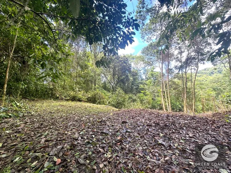 Portasol Mountain View Lot: Ready-to-Build Rainforest Gem Near Dominical Beaches — view 15, Dominical, Dominical, Costa Rica