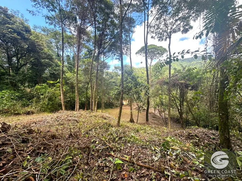 Portasol Mountain View Lot: Ready-to-Build Rainforest Gem Near Dominical Beaches — view 16, Dominical, Dominical, Costa Rica