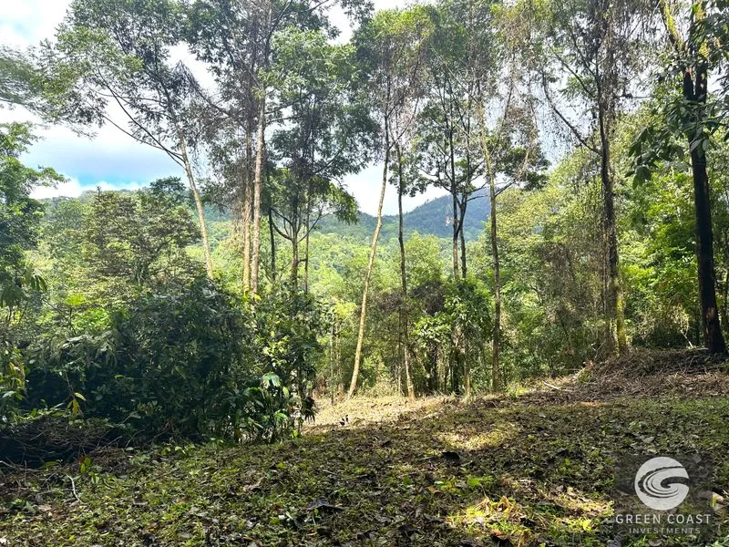 Portasol Mountain View Lot: Ready-to-Build Rainforest Gem Near Dominical Beaches — view 17, Dominical, Dominical, Costa Rica