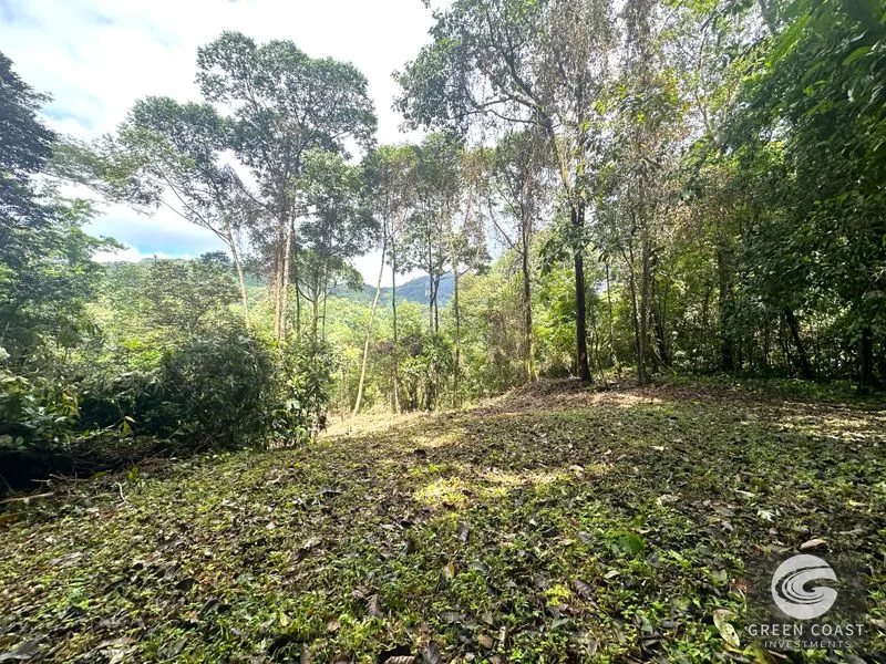 Portasol Mountain View Lot: Ready-to-Build Rainforest Gem Near Dominical Beaches — view 18, Dominical, Dominical, Costa Rica