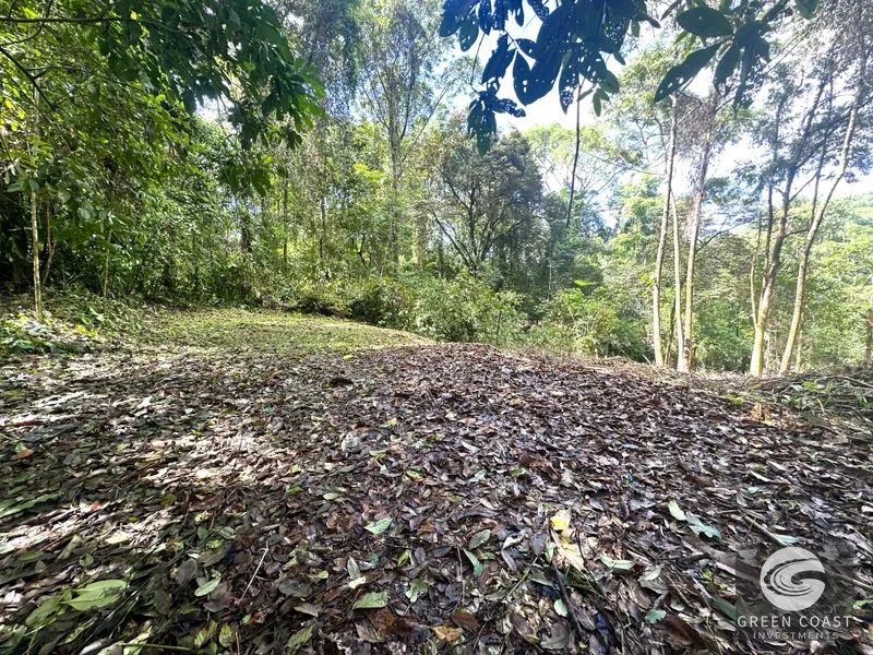Portasol Mountain View Lot: Ready-to-Build Rainforest Gem Near Dominical Beaches — view 19, Dominical, Dominical, Costa Rica