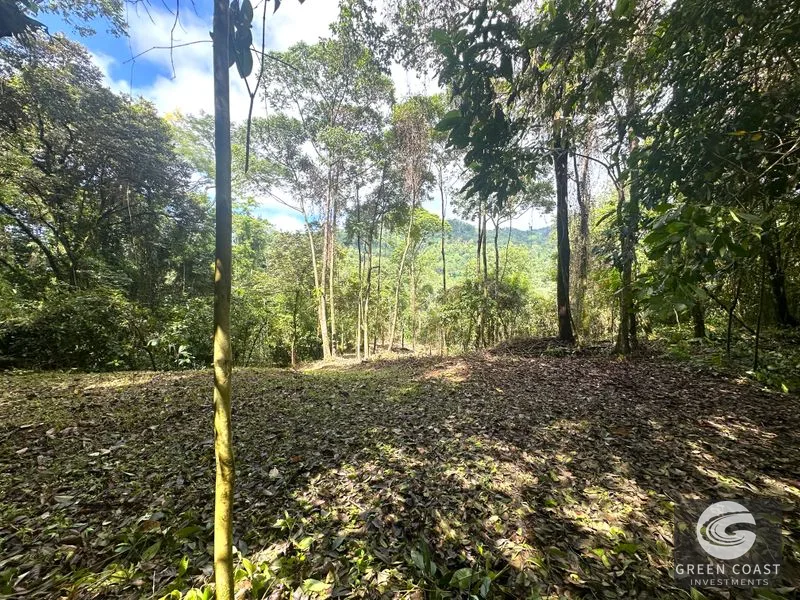 Portasol Mountain View Lot: Ready-to-Build Rainforest Gem Near Dominical Beaches — view 20, Dominical, Dominical, Costa Rica