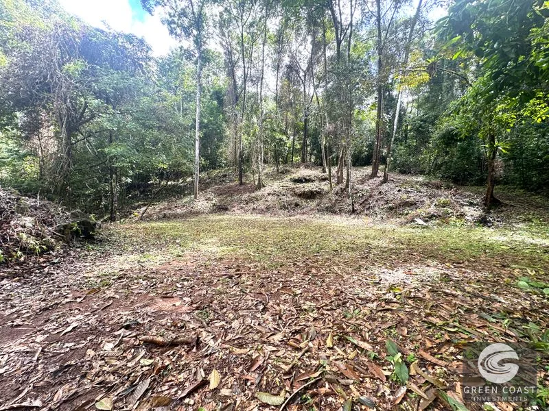 Portasol Mountain View Lot: Ready-to-Build Rainforest Gem Near Dominical Beaches — view 21, Dominical, Dominical, Costa Rica