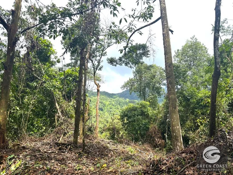 Portasol Mountain View Lot: Ready-to-Build Rainforest Gem Near Dominical Beaches — view 22, Dominical, Dominical, Costa Rica