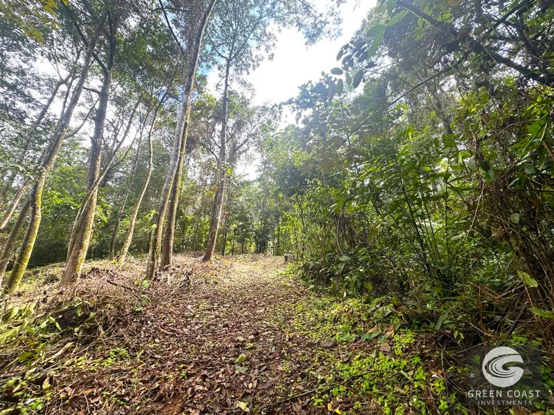 Portasol Mountain View Lot: Ready-to-Build Rainforest Gem Near Dominical Beaches — view 23, Dominical, Dominical, Costa Rica