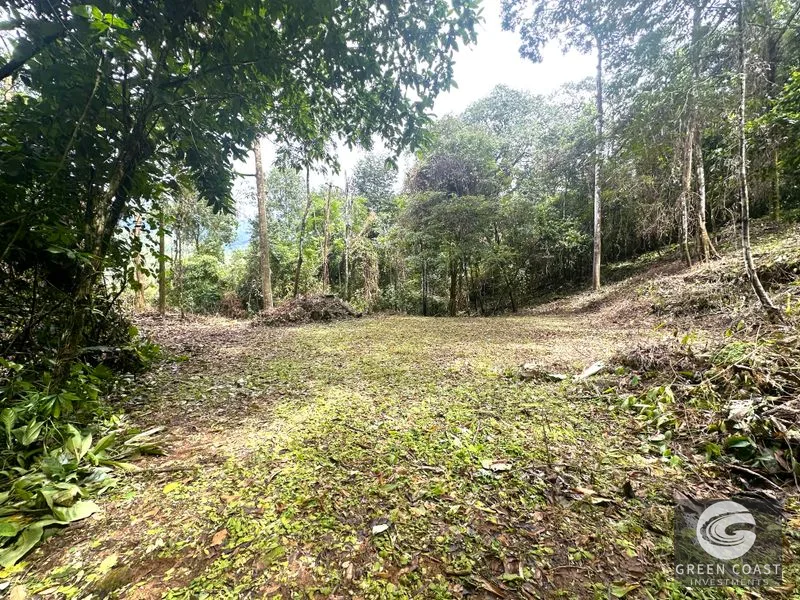 Portasol Mountain View Lot: Ready-to-Build Rainforest Gem Near Dominical Beaches — view 24, Dominical, Dominical, Costa Rica