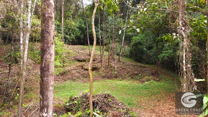 Portasol Mountain View Lot: Ready-to-Build Rainforest Gem Near Dominical Beaches — view 25, Dominical, Dominical, Costa Rica