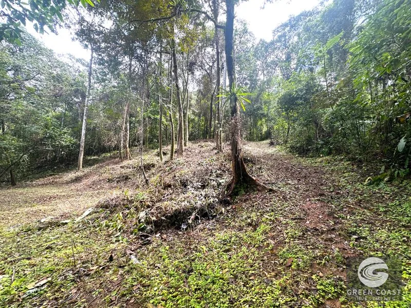 Portasol Mountain View Lot: Ready-to-Build Rainforest Gem Near Dominical Beaches — view 26, Dominical, Dominical, Costa Rica