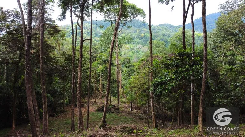 Portasol Mountain View Lot: Ready-to-Build Rainforest Gem Near Dominical Beaches — view 27, Dominical, Dominical, Costa Rica