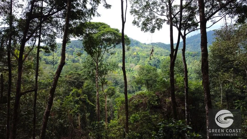 Portasol Mountain View Lot: Ready-to-Build Rainforest Gem Near Dominical Beaches — view 28, Dominical, Dominical, Costa Rica