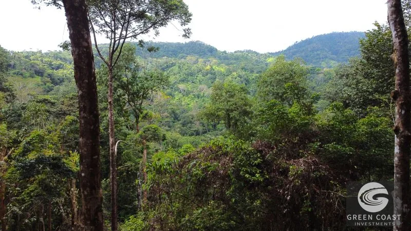 Portasol Mountain View Lot: Ready-to-Build Rainforest Gem Near Dominical Beaches — view 30, Dominical, Dominical, Costa Rica