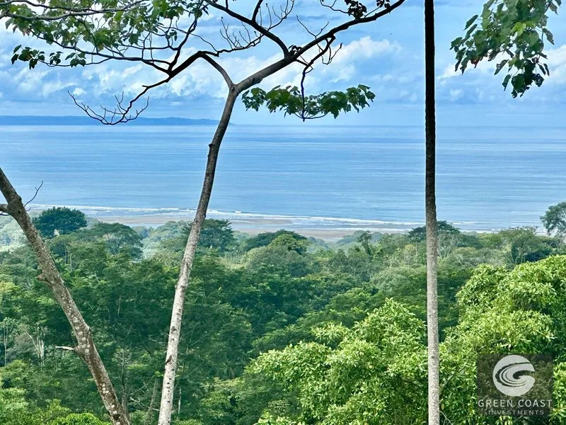 Private Ocean View Lot in Gated Ojochal Community - Build Your Dream Home! — view 1, Ojochal, Osa, Costa Rica
