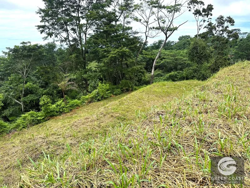 Private Ocean View Lot in Gated Ojochal Community - Build Your Dream Home! — view 5, Ojochal, Osa, Costa Rica