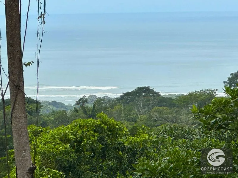 Private Ocean View Lot in Gated Ojochal Community - Build Your Dream Home! — view 7, Ojochal, Osa, Costa Rica