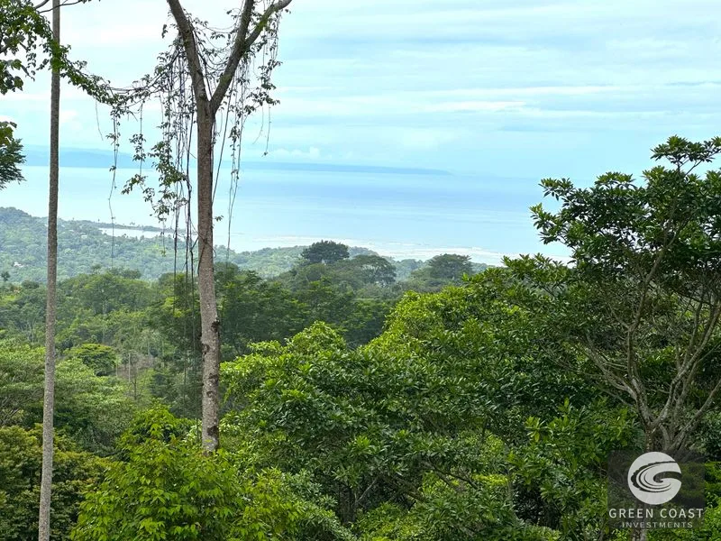 Private Ocean View Lot in Gated Ojochal Community - Build Your Dream Home! — view 12, Ojochal, Osa, Costa Rica