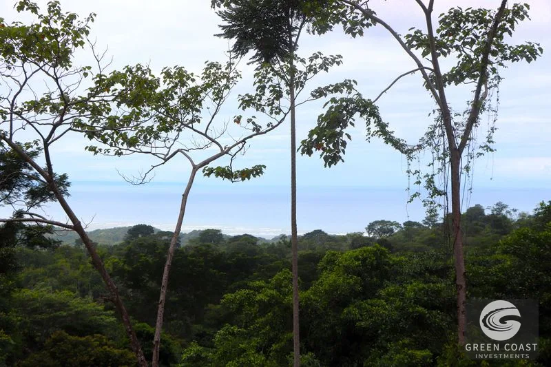 Private Ocean View Lot in Gated Ojochal Community - Build Your Dream Home! — view 33, Ojochal, Osa, Costa Rica