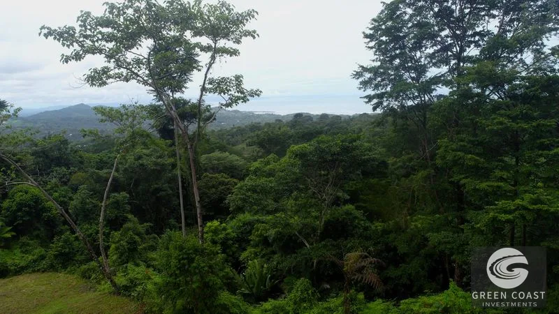 Private Ocean View Lot in Gated Ojochal Community - Build Your Dream Home! — view 44, Ojochal, Osa, Costa Rica