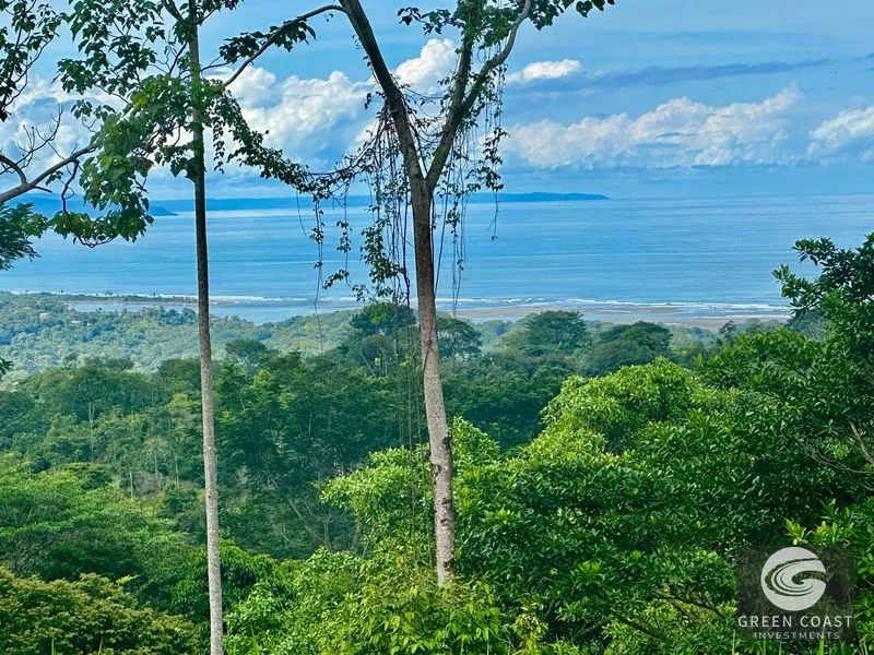 Private Ocean View Lot in Gated Ojochal Community - Build Your Dream Home! — view 49, Ojochal, Osa, Costa Rica