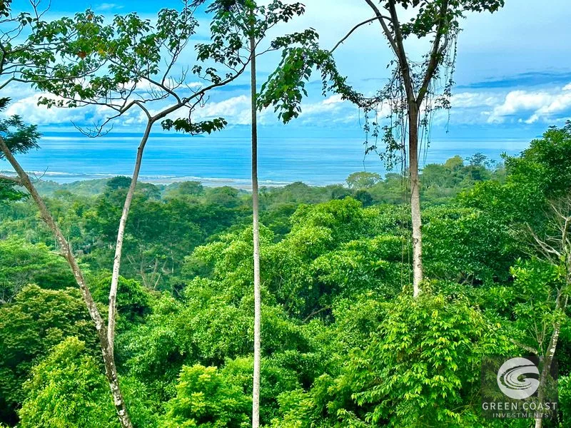Private Ocean View Lot in Gated Ojochal Community - Build Your Dream Home! — view 50, Ojochal, Osa, Costa Rica