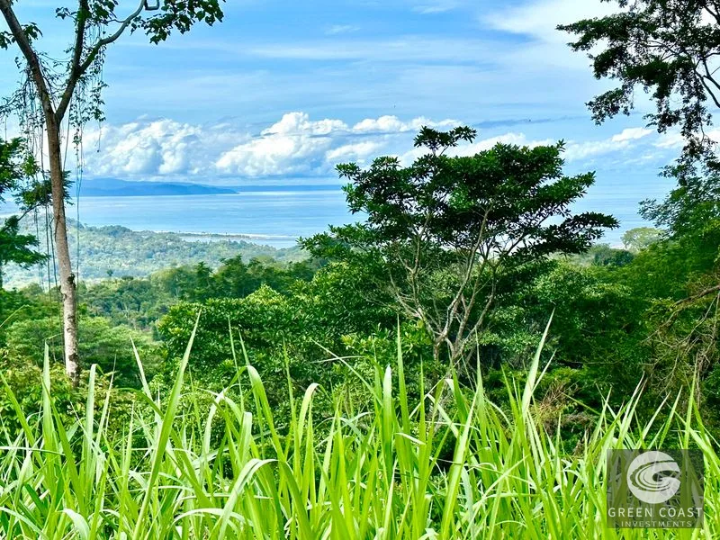 Private Ocean View Lot in Gated Ojochal Community - Build Your Dream Home! — view 51, Ojochal, Osa, Costa Rica