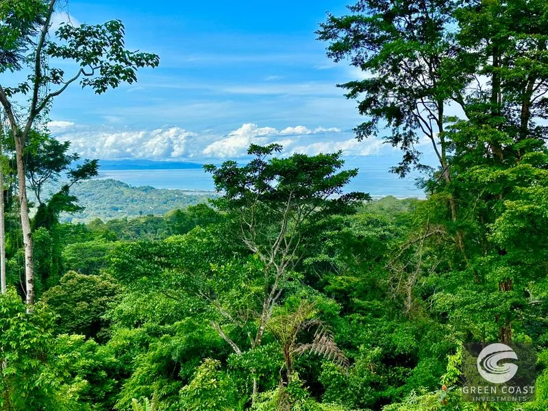 Private Ocean View Lot in Gated Ojochal Community - Build Your Dream Home! — view 53, Ojochal, Osa, Costa Rica