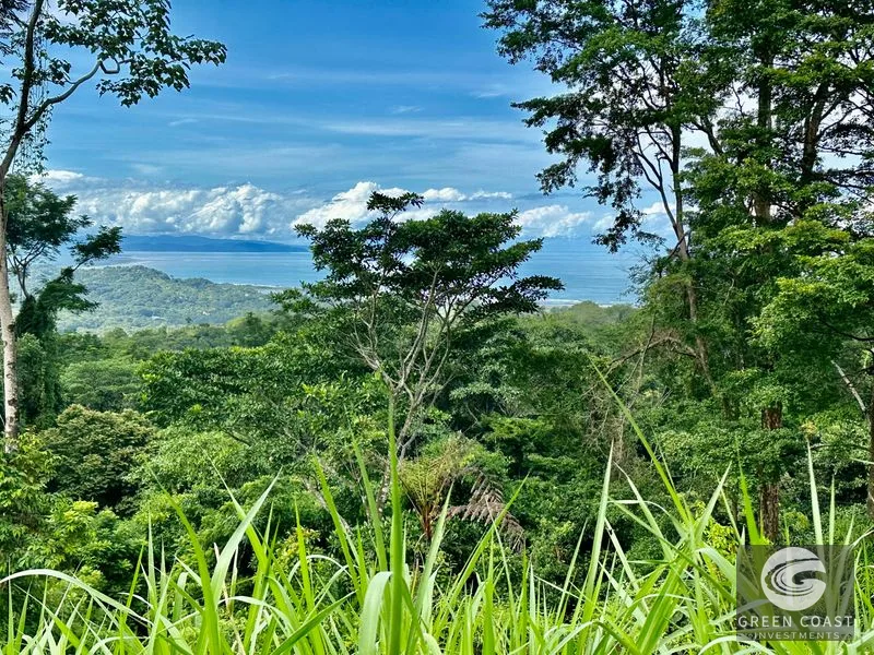Private Ocean View Lot in Gated Ojochal Community - Build Your Dream Home! — view 54, Ojochal, Osa, Costa Rica