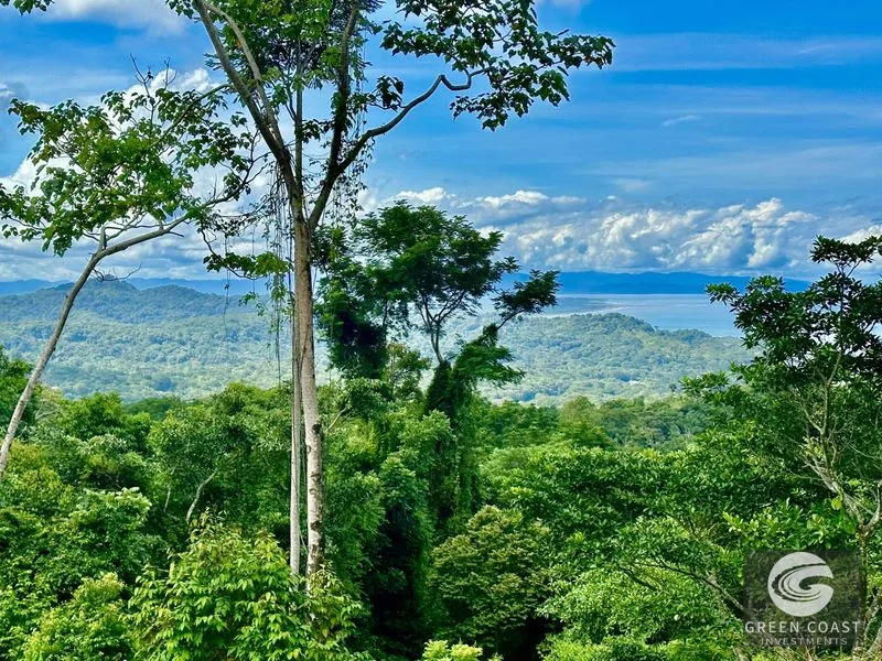 Private Ocean View Lot in Gated Ojochal Community - Build Your Dream Home! — view 55, Ojochal, Osa, Costa Rica
