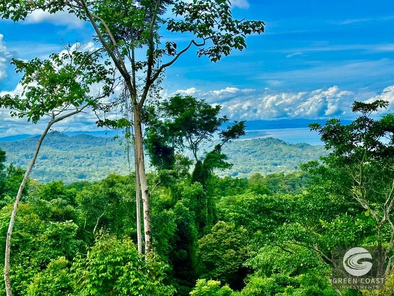 Private Ocean View Lot in Gated Ojochal Community - Build Your Dream Home! — view 56, Ojochal, Osa, Costa Rica