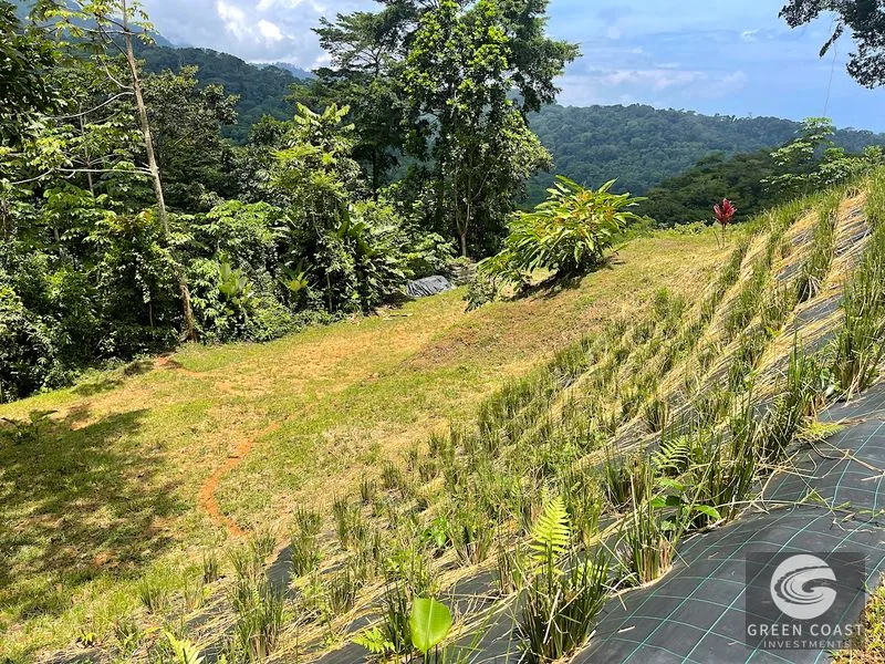 Uvita 25-Acre Estate: Mountain & Ocean View Building Pads, Private Jungle, Near Town & River — view 5, Uvita, Uvita, Costa Rica