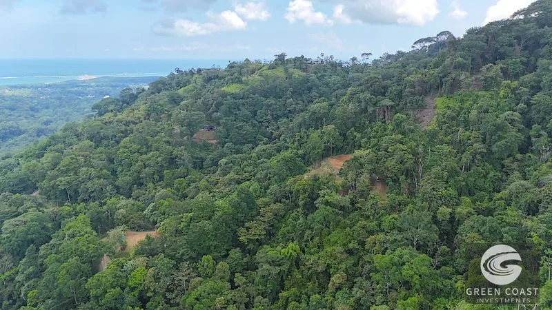 Uvita 25-Acre Estate: Mountain & Ocean View Building Pads, Private Jungle, Near Town & River — view 10, Uvita, Uvita, Costa Rica