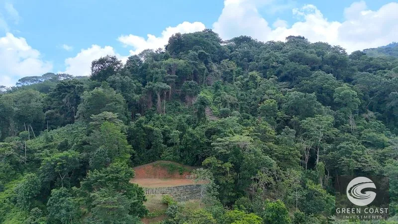 Uvita 25-Acre Estate: Mountain & Ocean View Building Pads, Private Jungle, Near Town & River — view 16, Uvita, Uvita, Costa Rica