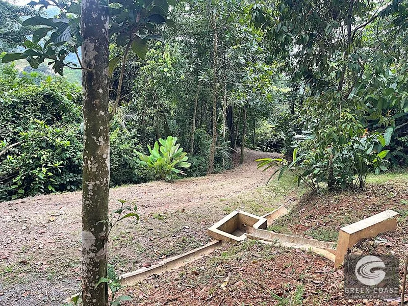 Uvita 25-Acre Estate: Mountain & Ocean View Building Pads, Private Jungle, Near Town & River — view 19, Uvita, Uvita, Costa Rica