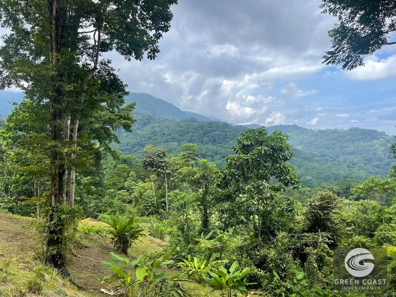 Uvita 25-Acre Estate: Mountain & Ocean View Building Pads, Private Jungle, Near Town & River — view 21, Uvita, Uvita, Costa Rica