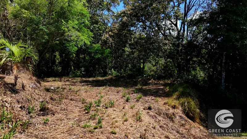 Ocean View Land in Hatillo: 3.34 Acres with Building Site & Trails Near Dominical — view 3, Hatillo, Savegre, Costa Rica