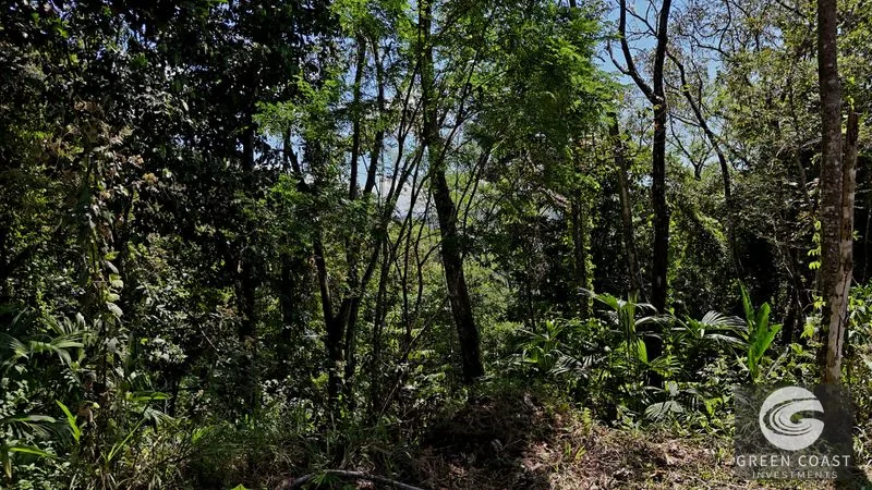 Ocean View Land in Hatillo: 3.34 Acres with Building Site & Trails Near Dominical — view 4, Hatillo, Savegre, Costa Rica