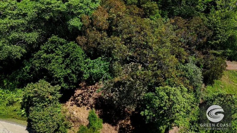 Ocean View Land in Hatillo: 3.34 Acres with Building Site & Trails Near Dominical — view 5, Hatillo, Savegre, Costa Rica