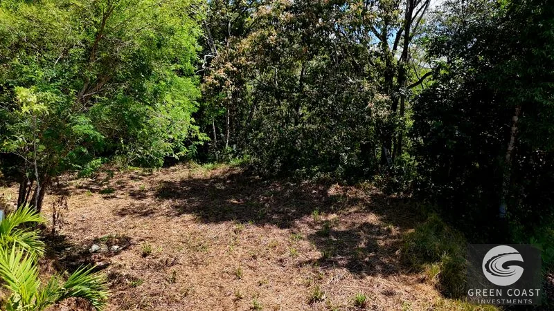 Ocean View Land in Hatillo: 3.34 Acres with Building Site & Trails Near Dominical — view 7, Hatillo, Savegre, Costa Rica