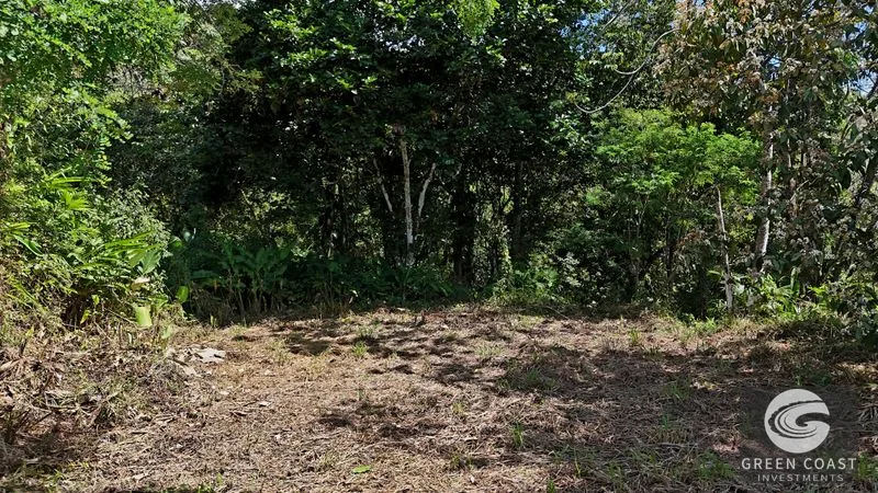 Ocean View Land in Hatillo: 3.34 Acres with Building Site & Trails Near Dominical — view 9, Hatillo, Savegre, Costa Rica